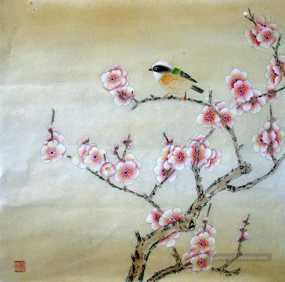 oiseau sur la fleur de prunier Peintures à l'huile